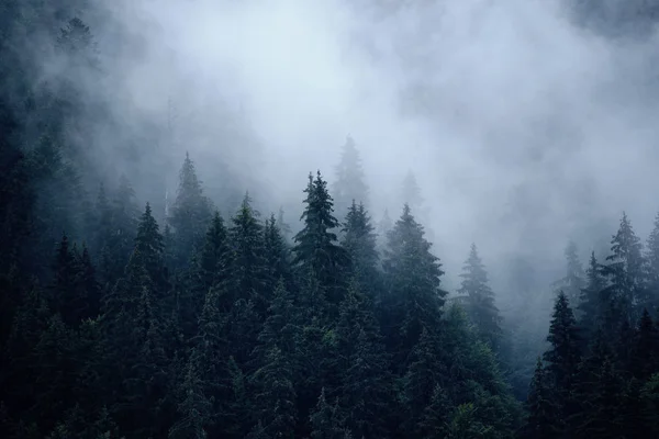 Туманный горный ландшафт — стоковое фото