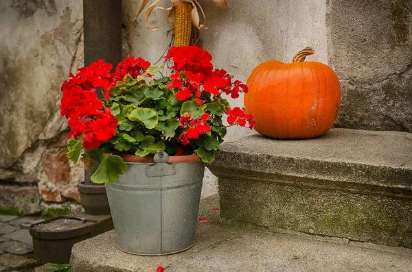 Sváteční dekorace Halloween — Stock fotografie