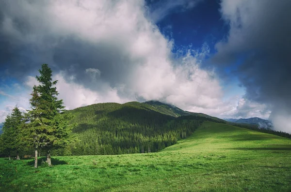 Paisagem de montanha dos Cárpatos — Fotografia de Stock