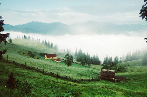 Foggy morning landscape — Stock Photo, Image