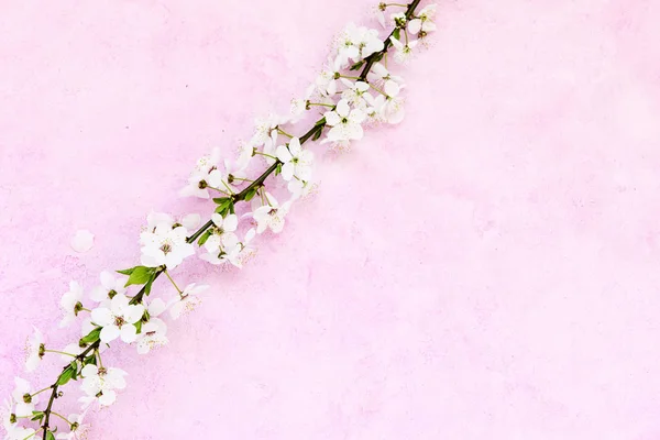 Grunge fond floral — Photo