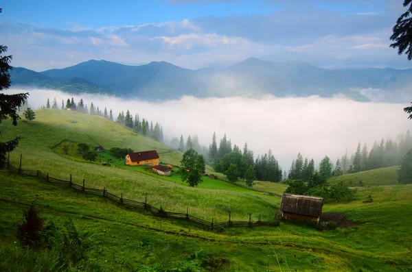 Mlhavá ranní krajina — Stock fotografie