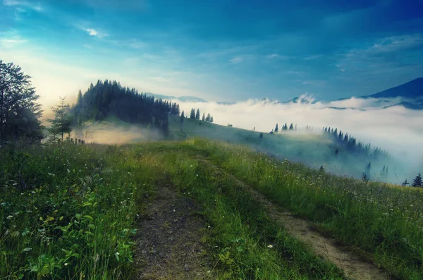 Foggy paesaggio mattutino — Foto Stock