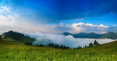 Karpatya dağ manzarası