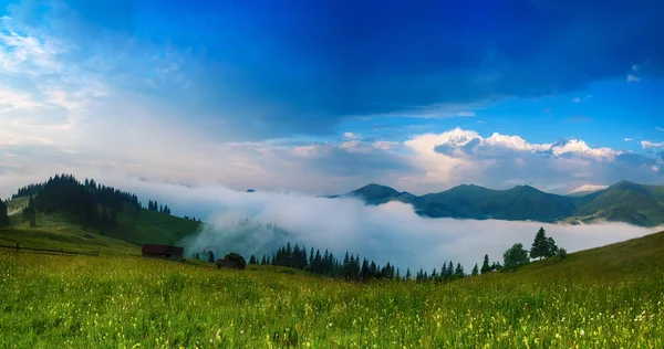 Karpatya dağ manzarası