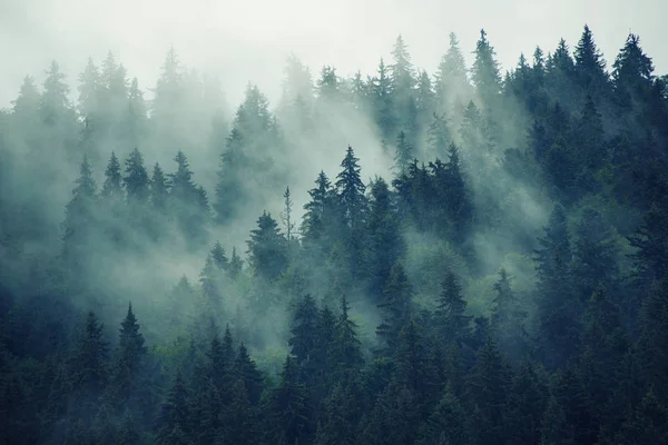 Nebelige Berglandschaft — Stockfoto