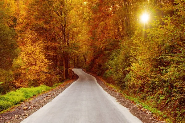 Güzel sonbahar manzarası