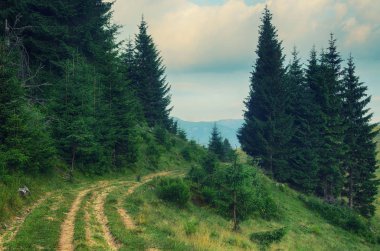 Yaz dağı manzarası