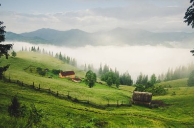 Sisli sabah manzarası