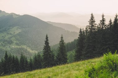 Sisli dağ manzarası