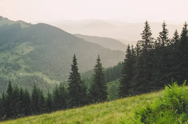 Sisli dağ manzarası