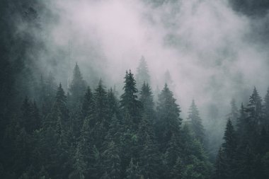 Sisli dağ manzarası