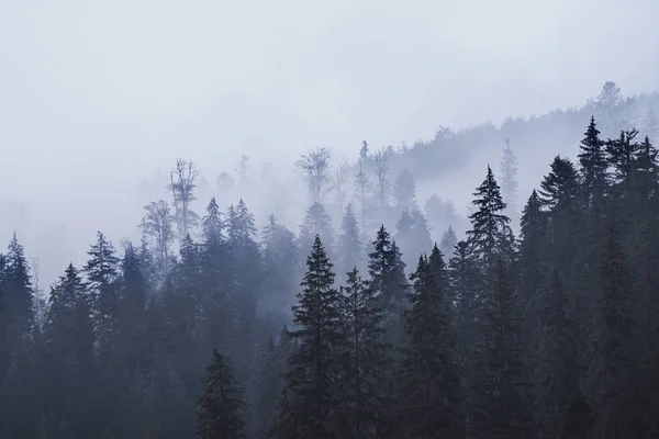 Paisagem montanhosa nebulosa — Fotografia de Stock