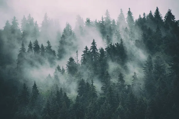 Nebelige Berglandschaft — Stockfoto