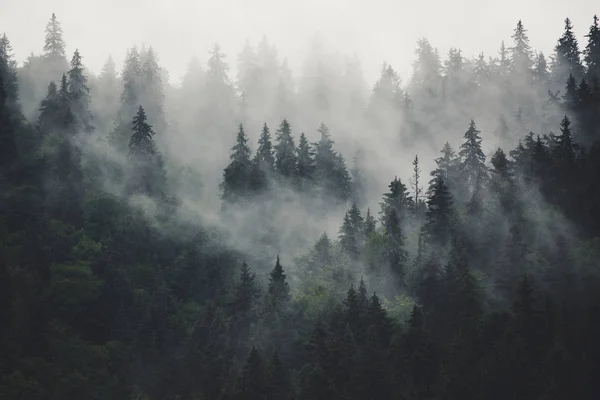 Misty paisaje de montaña — Foto de Stock