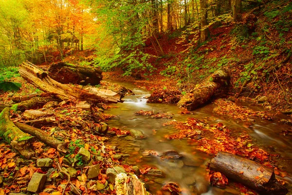 Podzimní horská řeka — Stock fotografie