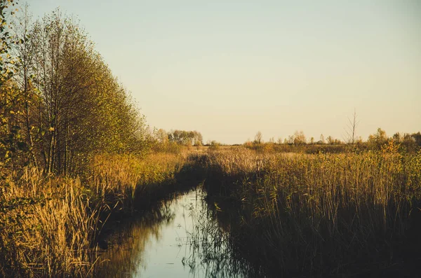 Paysage rural d'automne — Photo