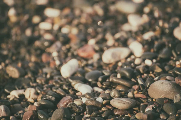 Sea pebble background — Stock Photo, Image