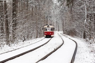 Ormanda tramvay