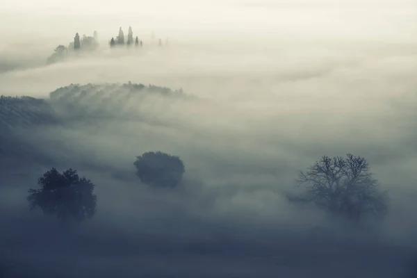Потоплений в тумані — стокове фото