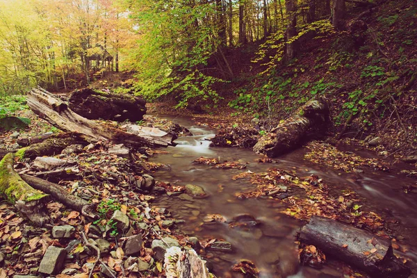 Höstens bergsflod — Stockfoto