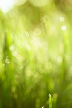 Doğal soyut arkaplan