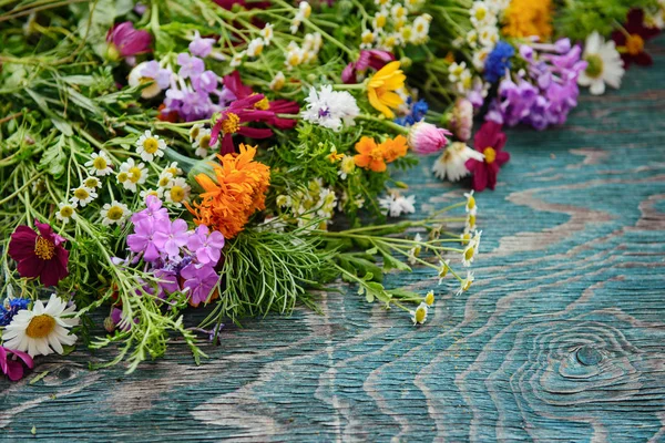 Sommar blommor design — Stockfoto