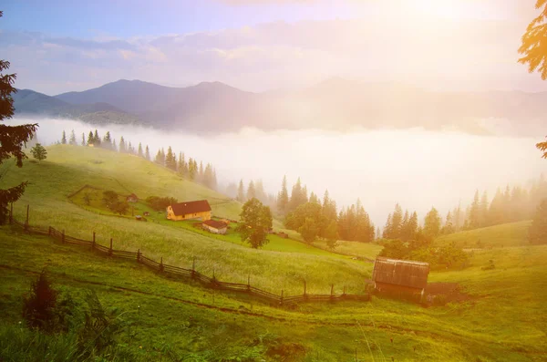 Foggy morning landscape — Stock Photo, Image