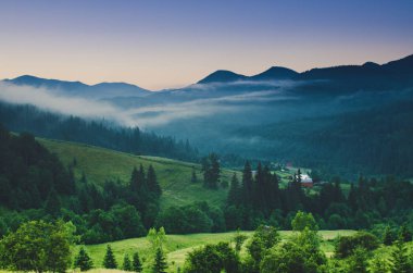 Karpatya dağ manzarası