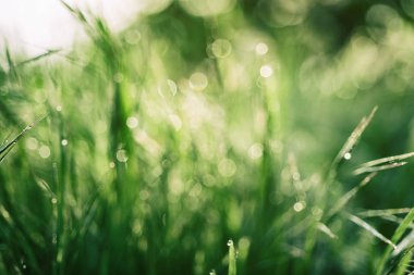 Doğal soyut arkaplan