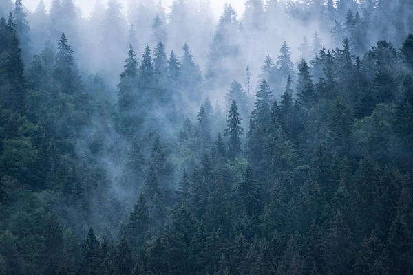 Paesaggio di montagna nebbioso — Foto Stock