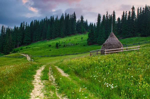 Yaz dağı manzarası — Stok fotoğraf