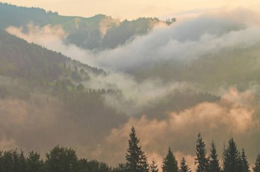 Sisli sabah manzarası