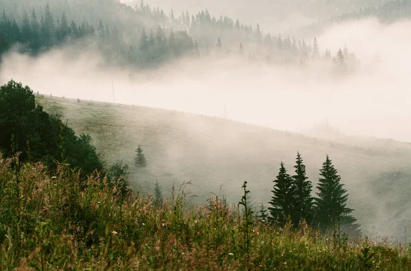 Nebelige Morgenlandschaft — Stockfoto