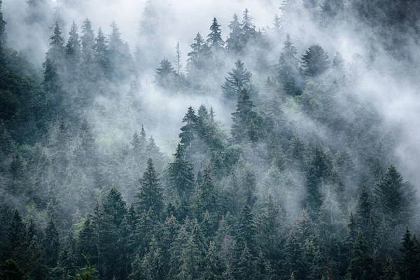 Mlhavá horská krajina — Stock fotografie