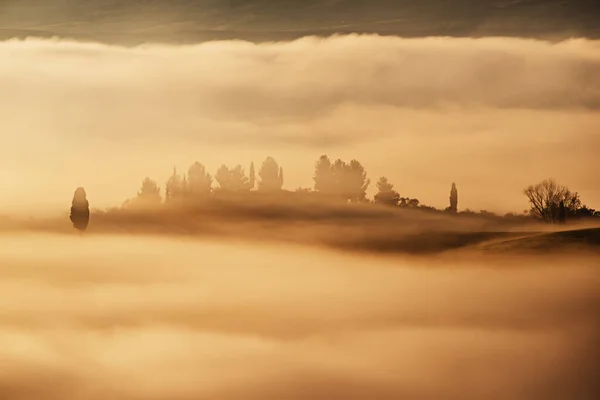 Drowned in the fog — Stock Photo, Image