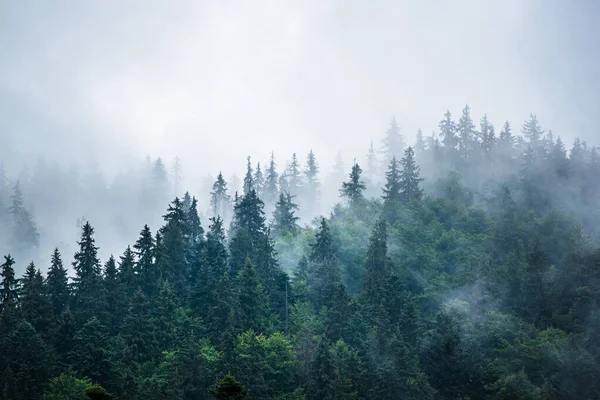 Nebelige Berglandschaft — Stockfoto