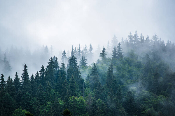 Misty mountain landscape