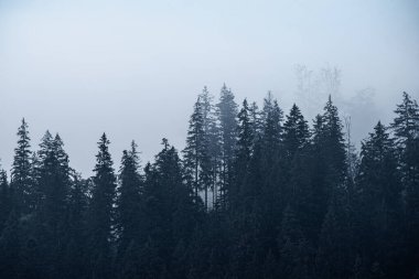 Sisli dağ manzarası