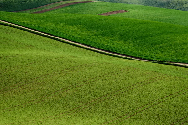 Paisaje rural con carretera —  Fotos de Stock