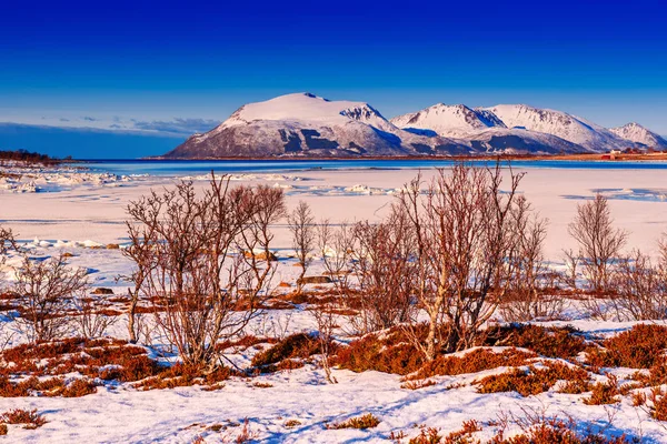 Inverno Norvegia paesaggio — Foto Stock