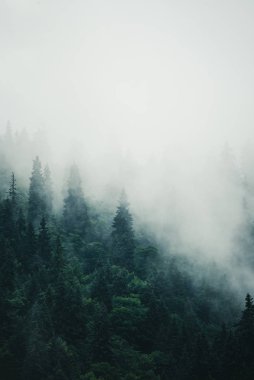 Sisli dağ manzarası