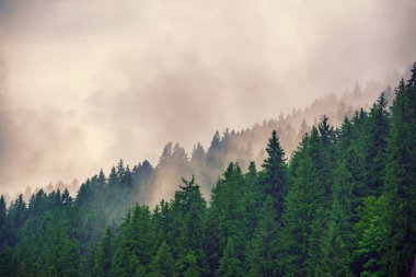 Sisli dağ manzarası