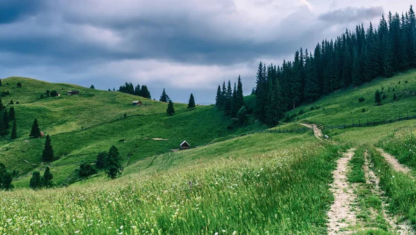 Estate paesaggio montano — Foto Stock