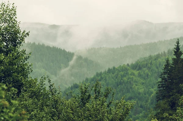 Mlhavá ranní krajina — Stock fotografie