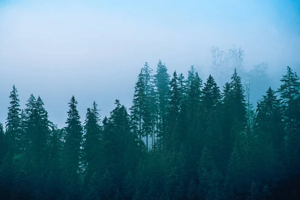 多雾的山景 — 图库照片