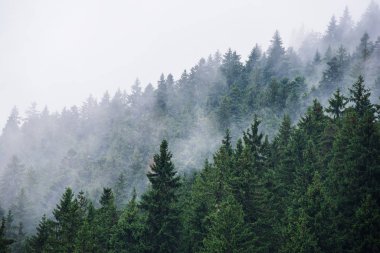 Sisli dağ manzarası