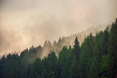 Sisli dağ manzarası