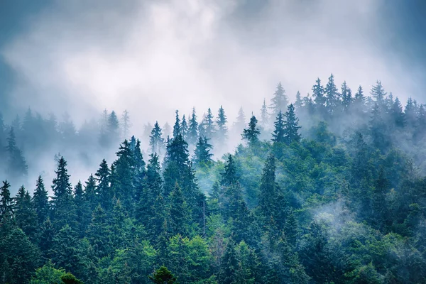 Misty paisaje de montaña — Foto de Stock