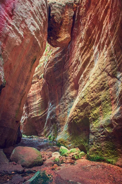 El cañón de Avakas — Foto de Stock